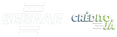 Crédito Já - Soluções Financeiras para Seu Negócio